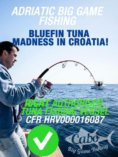 Iccat-tuna-maddness-croatia