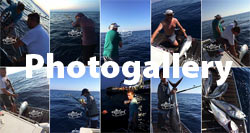 Big game fishing Croatia