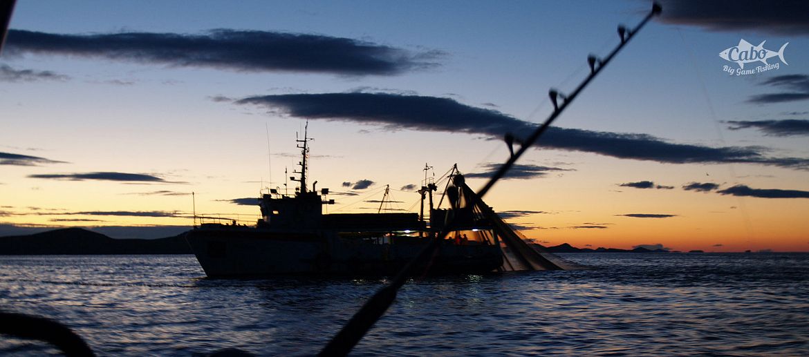 Night fishing in the Adriatic sea