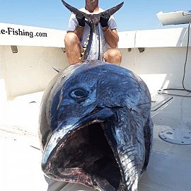 Angeln vom Boot aus auf großen Thunfisch Angeln vom Boot aus auf großen Thunfisch