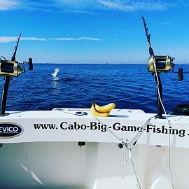 biggamefishing1 biggamefishing1