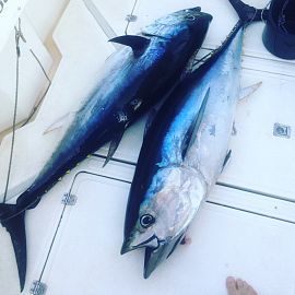 biggamefishing19 biggamefishing19