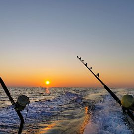 biggamefishing38 biggamefishing38