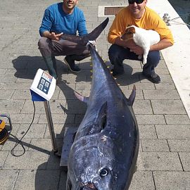 biggamefishing7 biggamefishing7