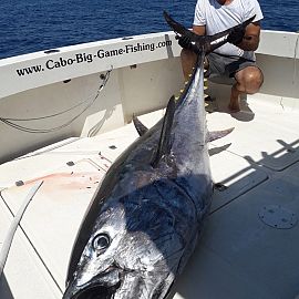 biggamefishing9 biggamefishing9