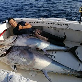 Schwerer Thunfisch aus Cabo, Vodice Schwerer Thunfisch aus Cabo, Vodice