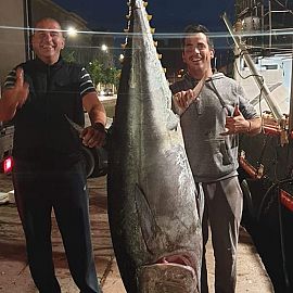 Fänge von schwerem Thunfisch in Kroatien Fänge von schwerem Thunfisch in Kroatien