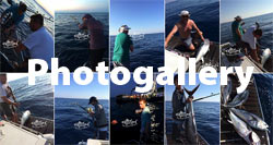 Big game fishing Kroatien