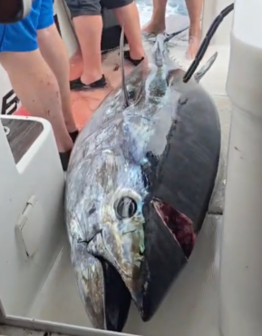 Njemački gosti na Big Game Fishing avanturi u Hrvatskoj