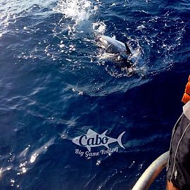 Experience your dream fishing trip Experience your dream fishing trip