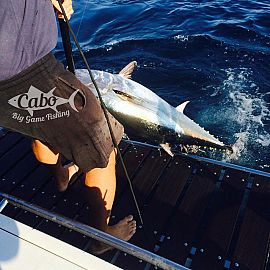 05 We catch one 05 We catch one