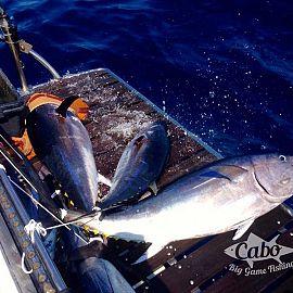 21 Reich ThunfischGet ready for the fishing vacation of a lifetime Get ready for the fishing vacation of a lifetime