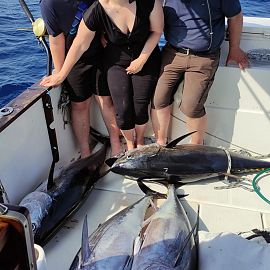 Big game fishing in Kroatien 2 Big game fishing in Kroatien 2