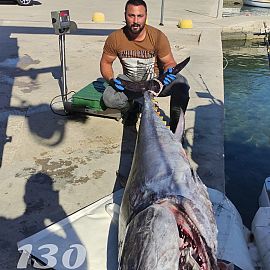 Huge BluefinTuna 130 kg on CABO boat Vodice Croatia Huge BluefinTuna 130 kg on CABO boat Vodice Croatia