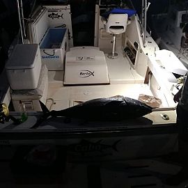 Natfiskeri i Kroatien Natfiskeri i Kroatien