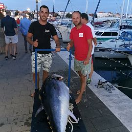 Riesen Thunfisch Vice und 120 kg tuna Riesen Thunfisch Vice und 120 kg tuna