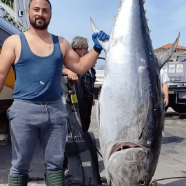 Riesige Tunafisch 160 kg CABO boot Vodice Kroatien Riesige Tunafisch 160 kg CABO boot Vodice Kroatien